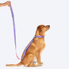 Dash Dog Circle Printed Leash - Violet & Red - Heads Up For Tails