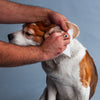 HUFT Biodegradable Pet Wipes_07