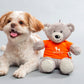 HUFT Quintessential Teddy Bear Dog Toy - Boy - Heads Up For Tails