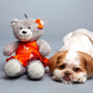 HUFT Quintessential Teddy Bear Dog Toy - Girl - Heads Up For Tails