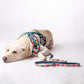 HUFT Sunset Strokes Printed Leash - Heads Up For Tails