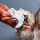 HUFT Biodegradable Pet Wipes - Heads Up For Tails