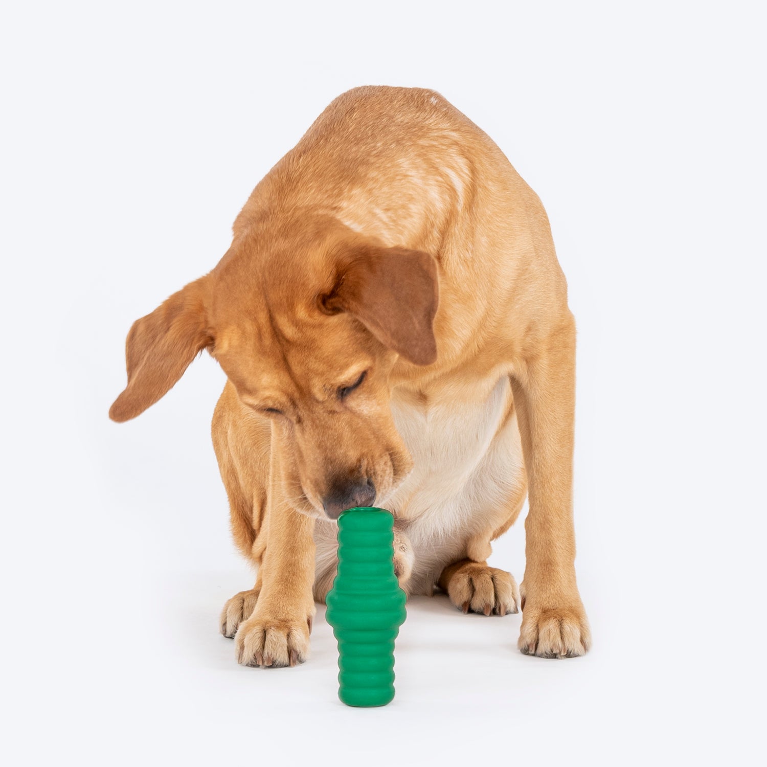 Dash Dog Tube Chew Dog Toy - Dark Green_08