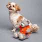HUFT Quintessential Teddy Bear Dog Toy - Boy - Heads Up For Tails