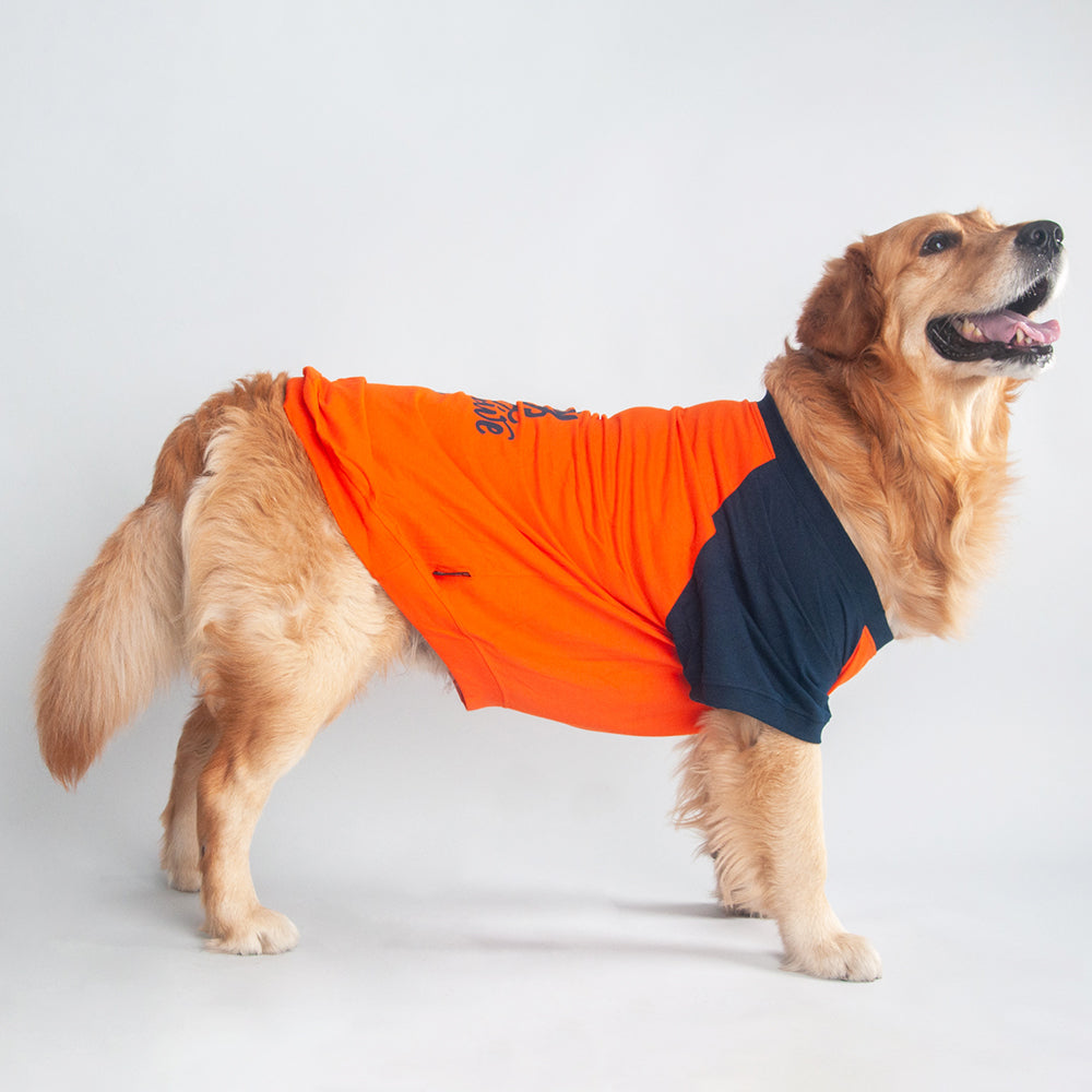 HUFT Stay Pawsitive Dog T-shirt - Heads Up For Tails
