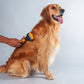 HUFT Deshedder with Rake for Dogs - Orange - Heads Up For Tails