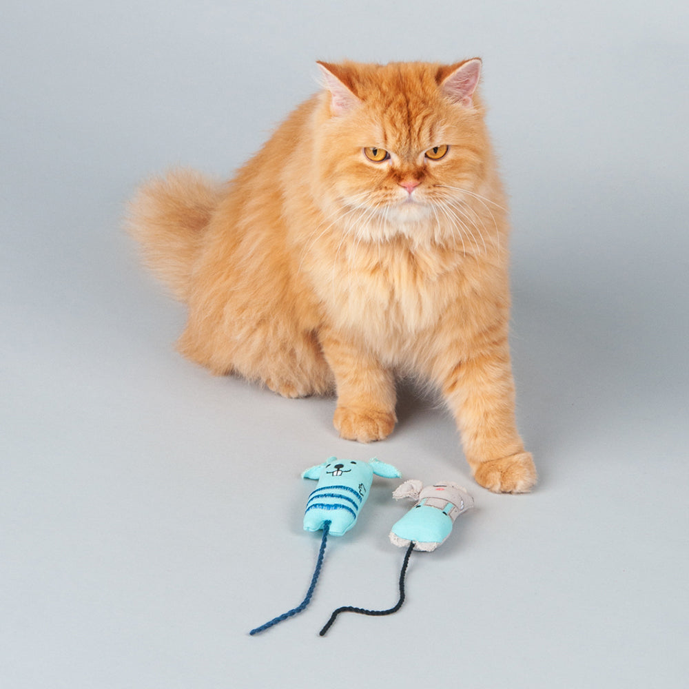 HUFT Mim and Mo Cat Toys - Blue - Heads Up For Tails