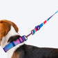 Dash Dog Vertical Pace 6 Way Leash - Multi Colour - Heads Up For Tails
