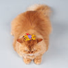 HUFT Meow Monsters Butterfly Cat Toy Made from Recycled Cotton - Heads Up For Tails
