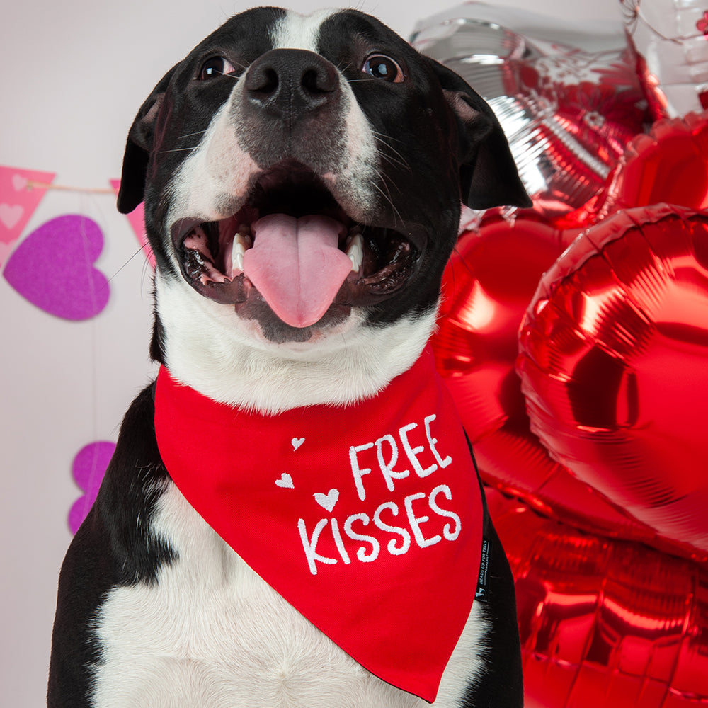 HUFT Free Kisses Dog Bandana - Heads Up For Tails