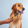 HUFT Double Sided Steel Comb for Cats & Dogs - Orange - Heads Up For Tails
