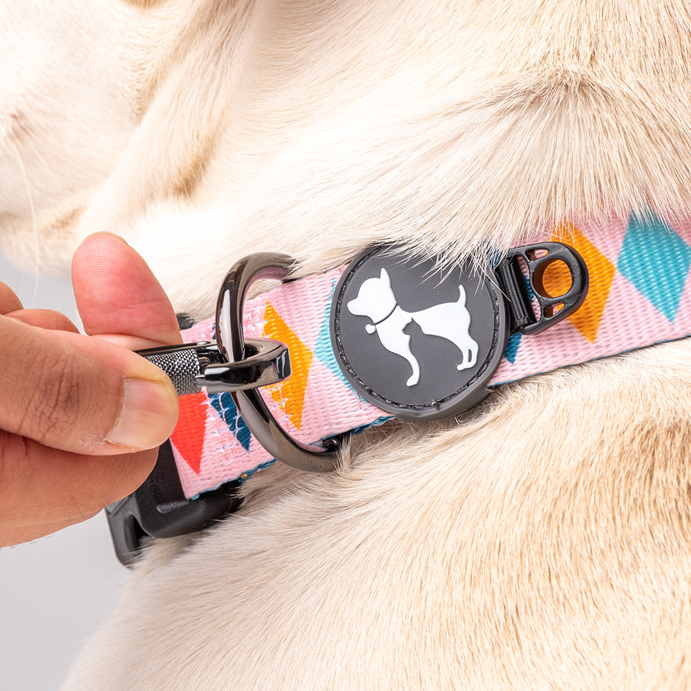 HUFT Sunset Strokes Printed Dog Collar - Heads Up For Tails