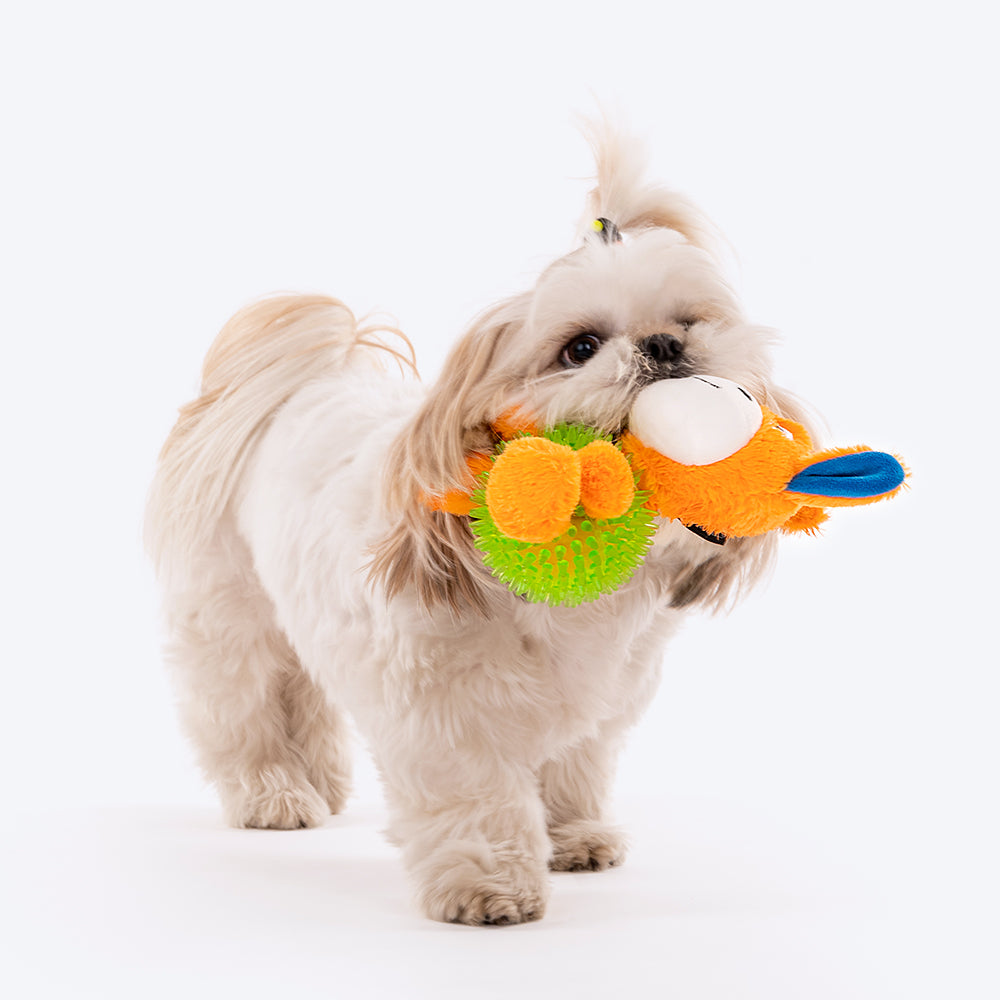 HUFT Mr. Donk Dog Toy - Heads Up For Tails