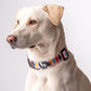 HUFT Sunset Strokes Printed Dog Collar - Heads Up For Tails