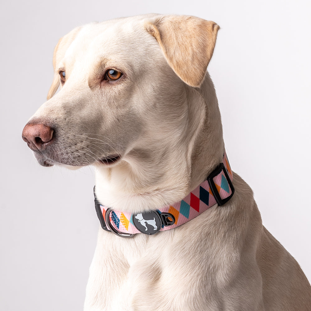 HUFT Sunset Strokes Printed Dog Collar - Heads Up For Tails