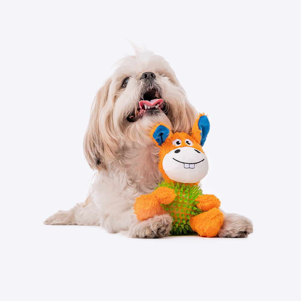 HUFT Mr. Donk Dog Toy - Heads Up For Tails