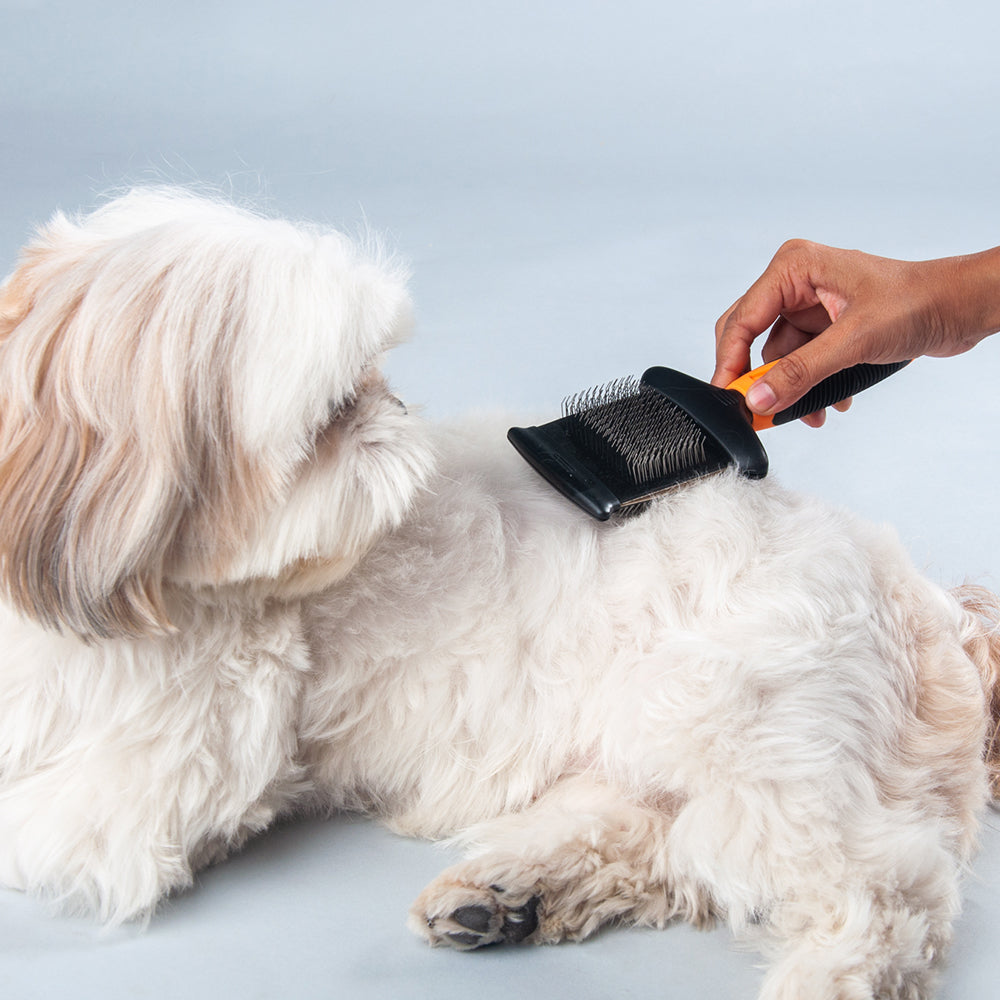 Pet brush outlet that cuts hair