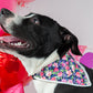 HUFT Flower Power Reversible Dog Bandana - Heads Up For Tails