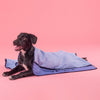 HUFT Cutest Microfiber Towel For Puppy & Kitten - Light Blue - Heads Up For Tails