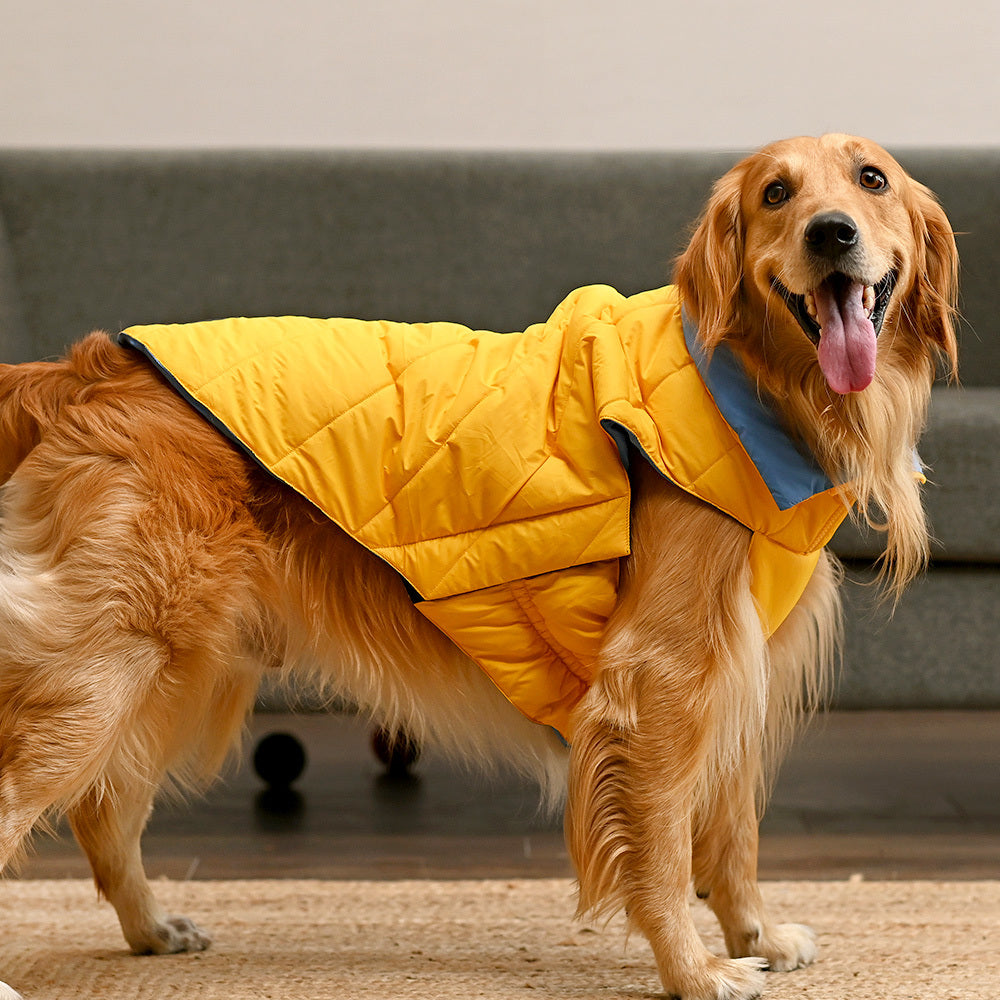 Best warm best sale dog jackets