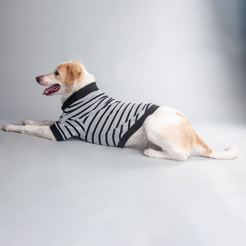 HUFT Striped Polo Dog T-Shirt - Grey - Heads Up For Tails