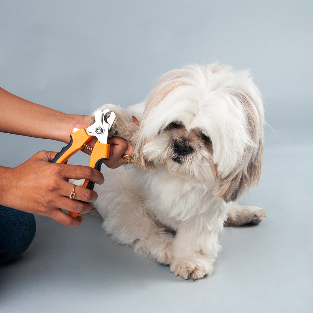 What Dog Nail Clippers Do Groomers Use
