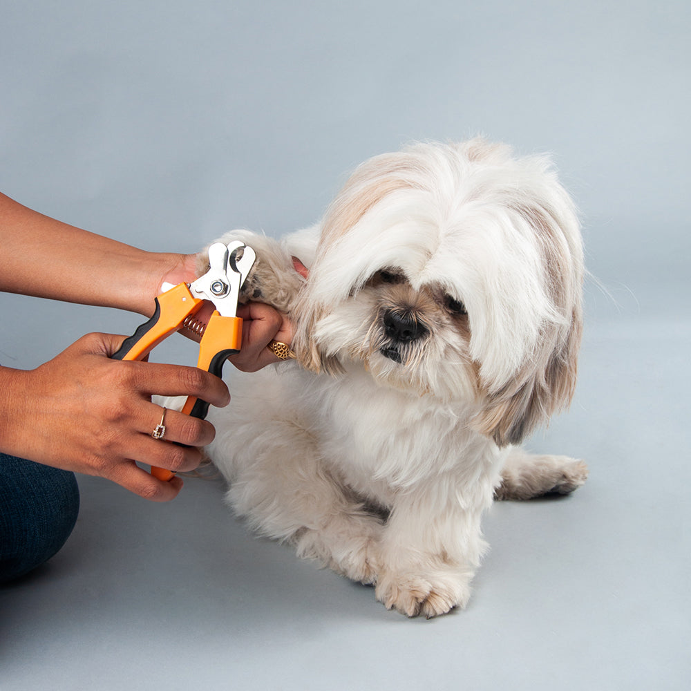 HUFT Nail Cutter for Dogs with Safety Guard - Heads Up For Tails