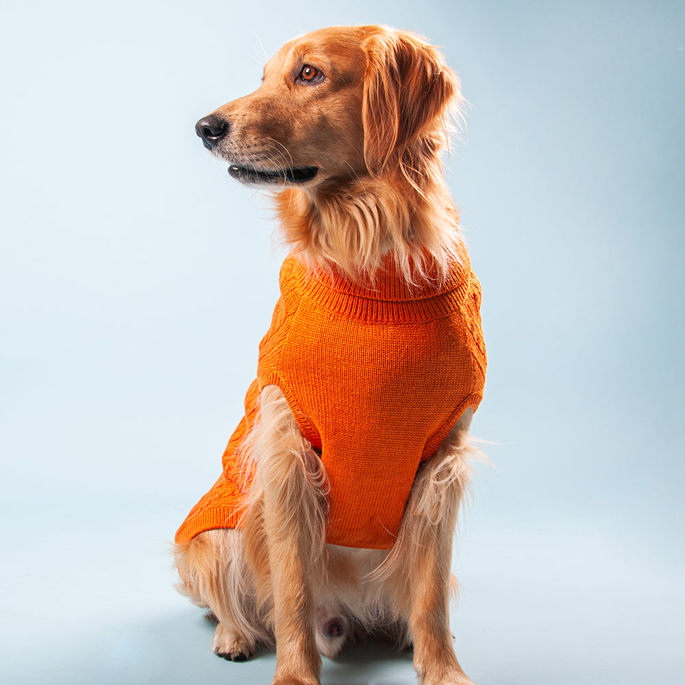 HUFT Cable Knit Dog Sweater - Orange - Heads Up For Tails