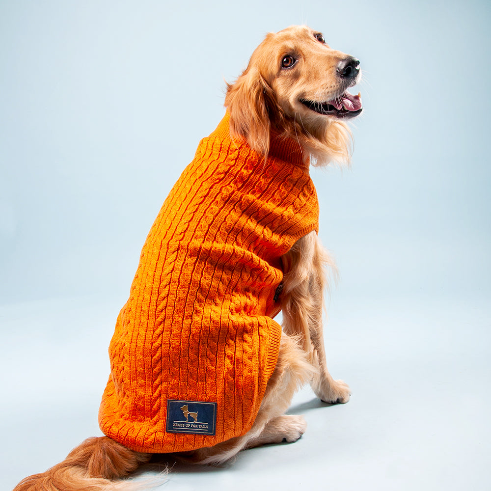 HUFT Cable Knit Dog Sweater - Orange - Heads Up For Tails