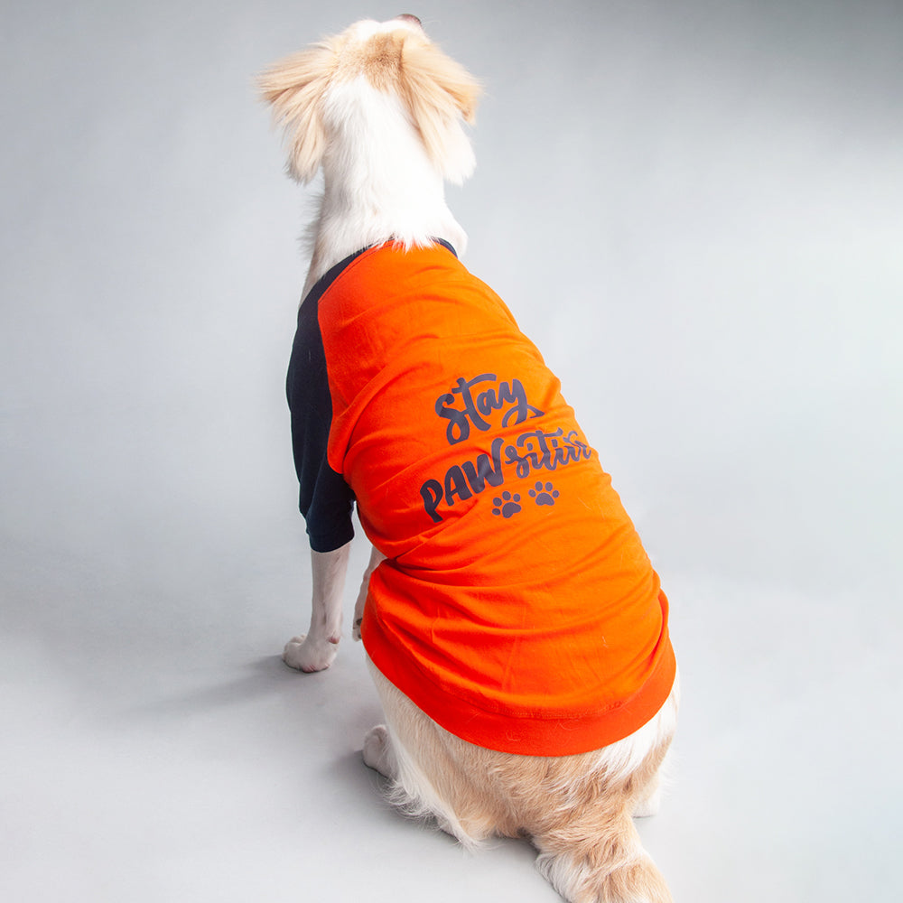 HUFT Stay Pawsitive Dog T-shirt - Heads Up For Tails