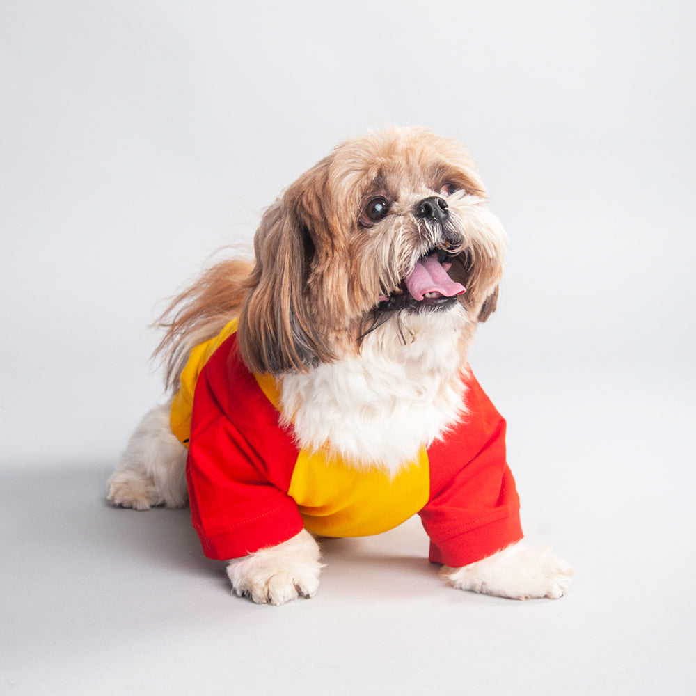 HUFT The Family Favourite Doggie Tshirt - Heads Up For Tails