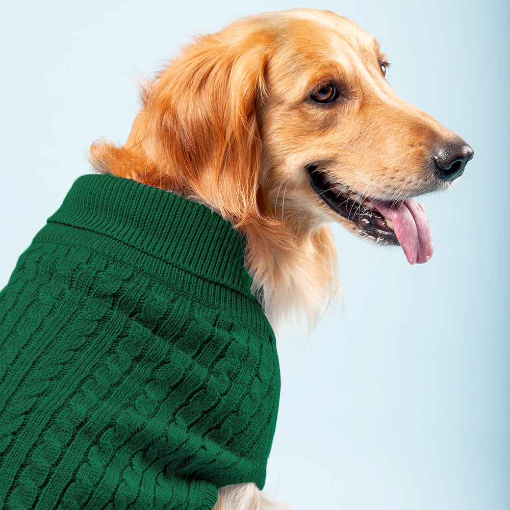 HUFT Cable Knit Dog Sweater - Dark Green - Heads Up For Tails