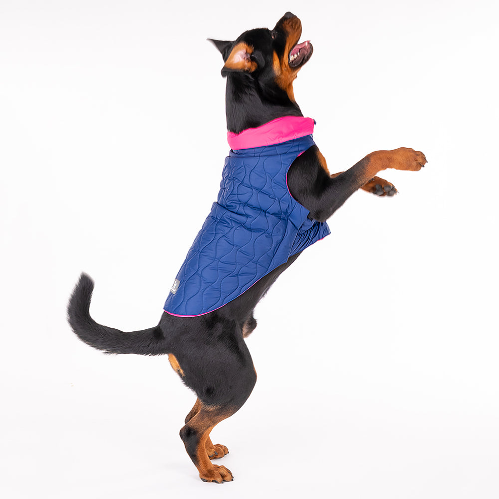 HUFT Cosy Pupper Reversible Dog Jacket - Denim Blue-4