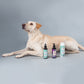 HUFT Anti-Tick and Flea Mini Kit For Dogs - Heads Up For Tails