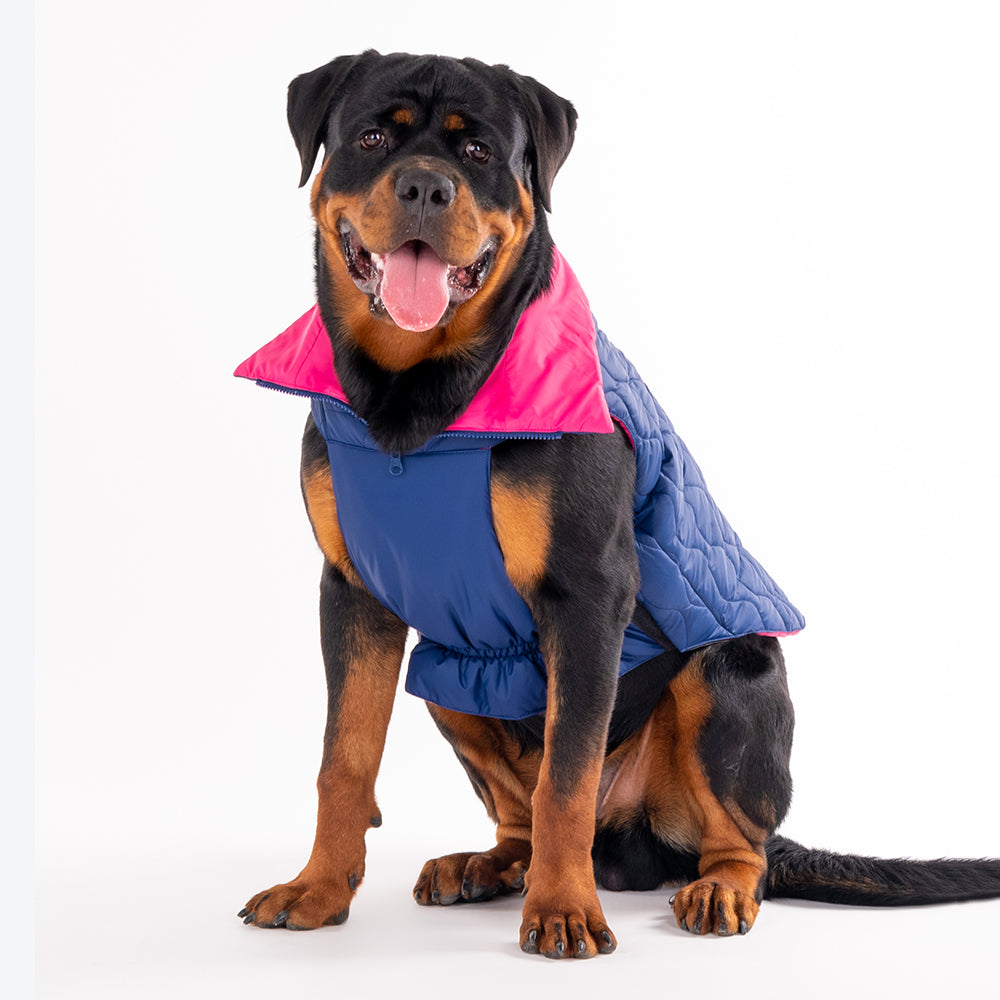 HUFT Cosy Pupper Reversible Dog Jacket - Denim Blue-2