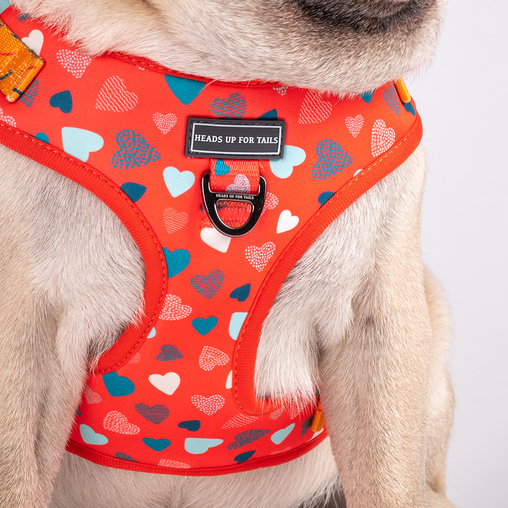 HUFT Endless Joy Printed Harness - Heads Up For Tails