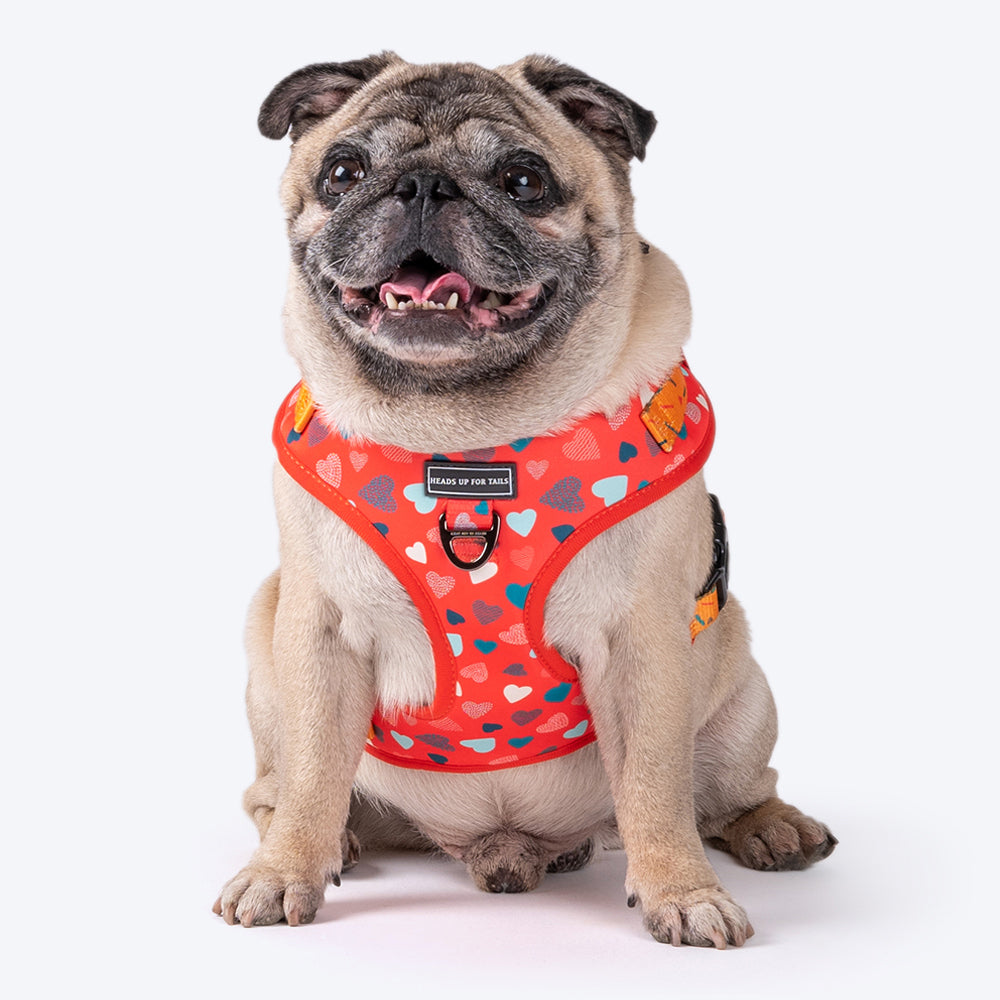HUFT Endless Joy Printed Dog Harness - Heads Up For Tails