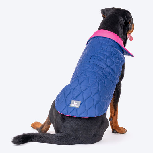 HUFT Cosy Pupper Reversible Dog Jacket - Denim Blue-1