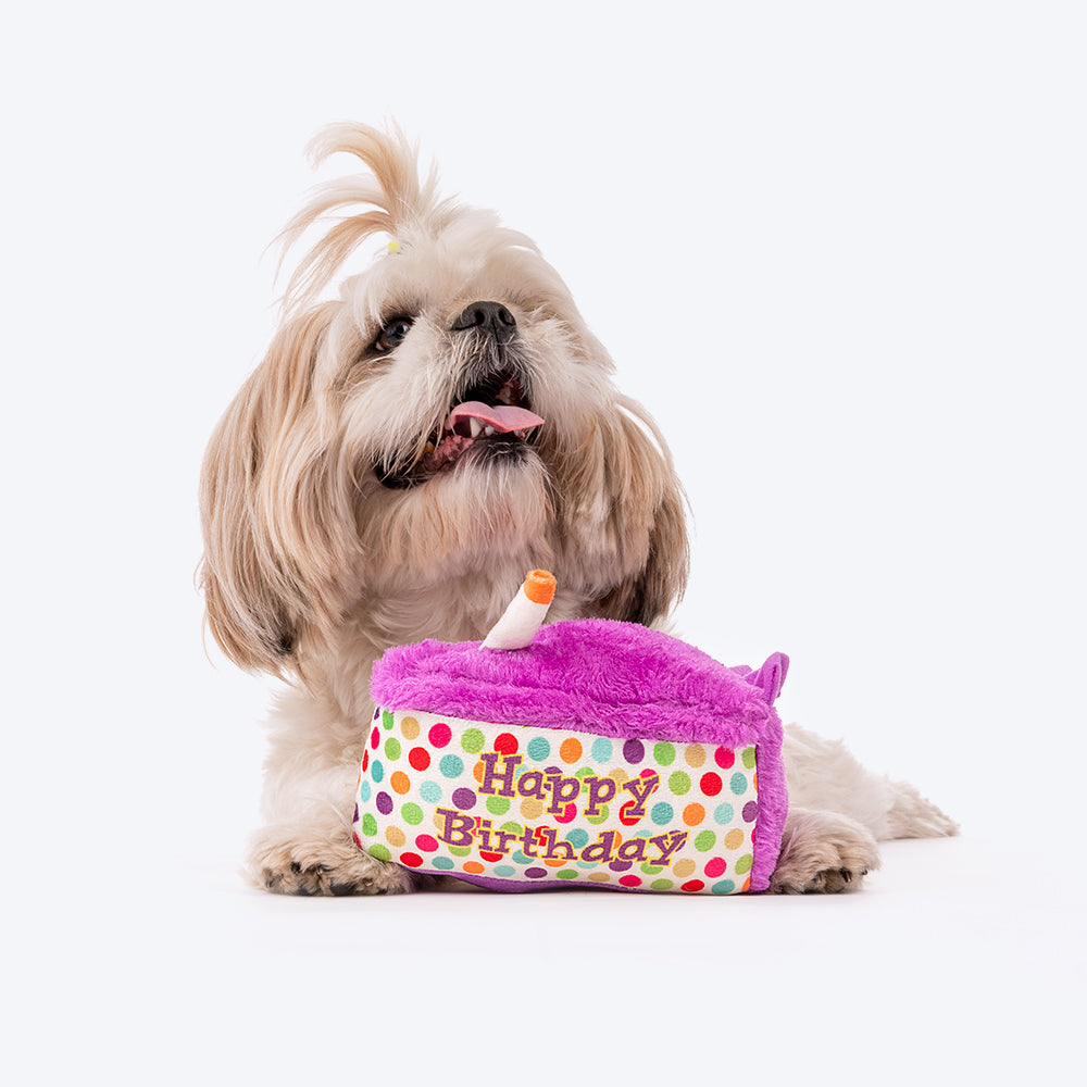 HUFT Sweet Treat Cake Dog Toy - Heads Up For Tails