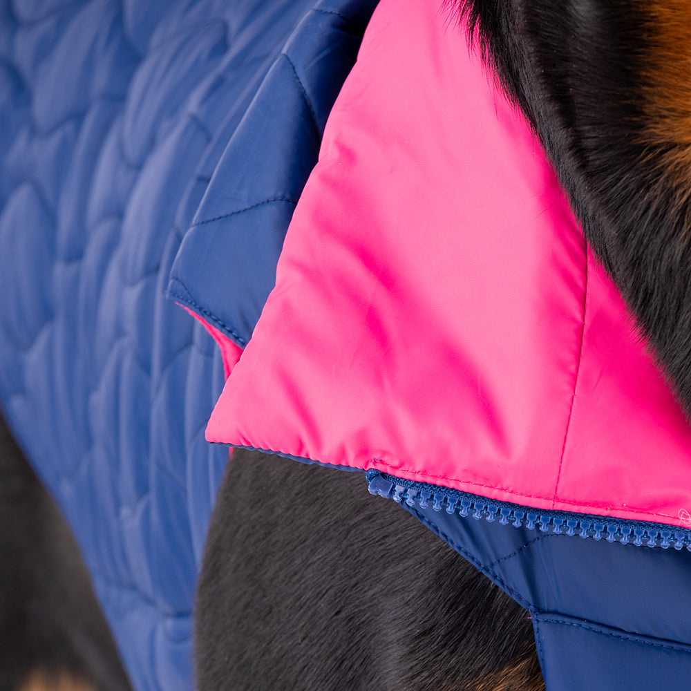 HUFT Cosy Pupper Reversible Dog Jacket - Denim Blue-7