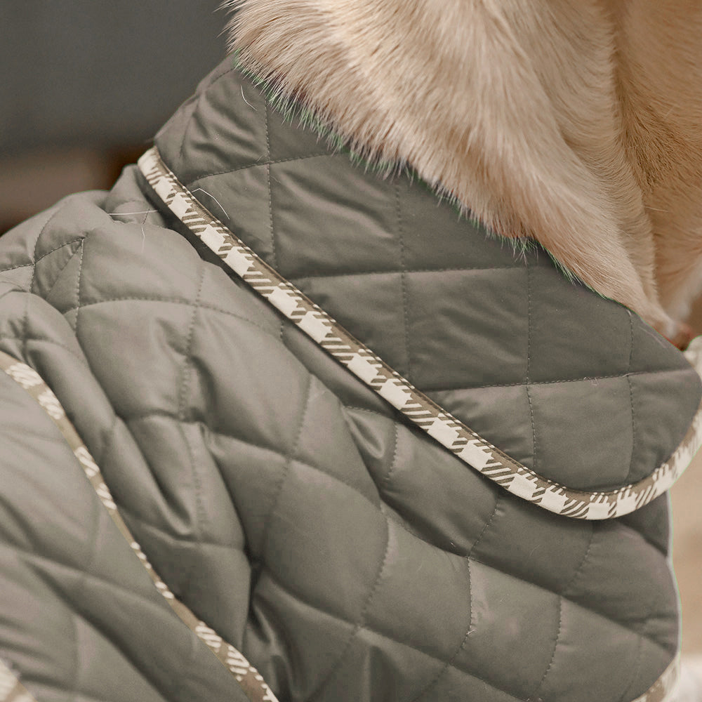 HUFT Grrrberry Quilted Dog Jacket - Green - Heads Up For Tails