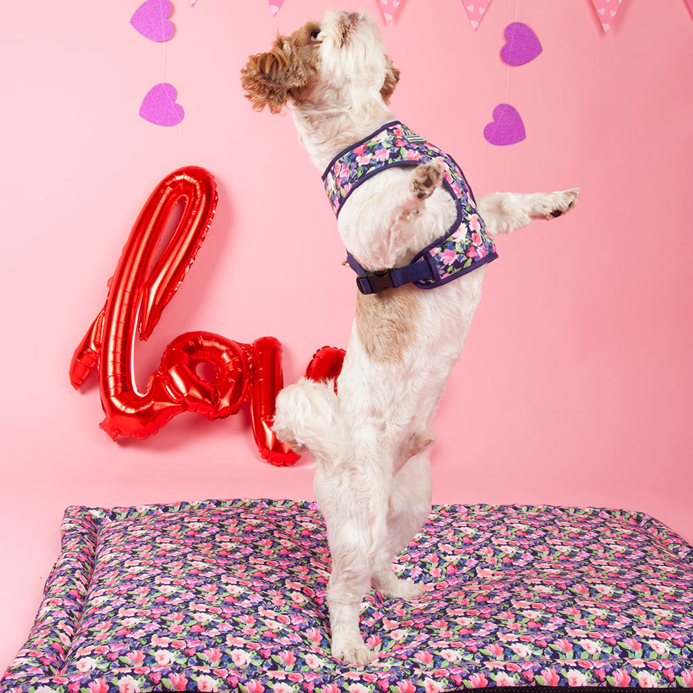 HUFT Flower Power Reversible Dog Harness - Heads Up For Tails