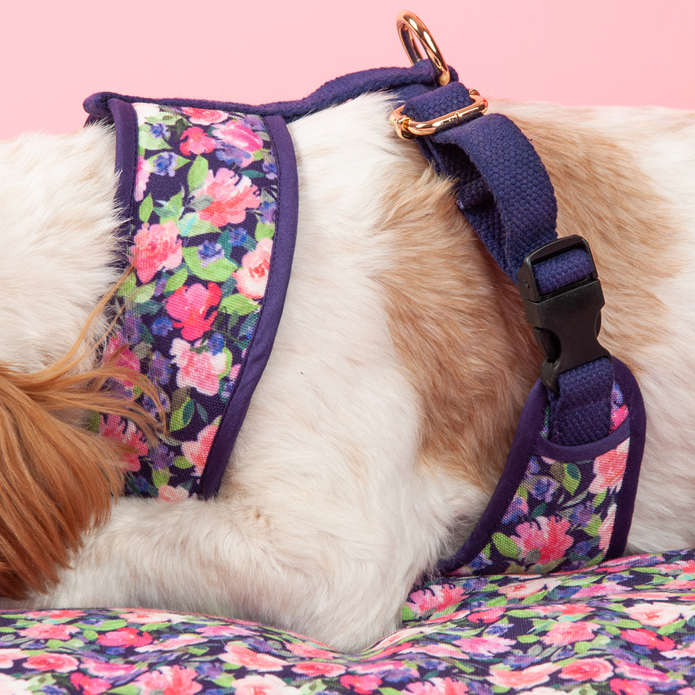 HUFT Flower Power Reversible Dog Harness - Heads Up For Tails
