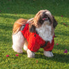HUFT Drizzle Buddy Dog Raincoat - Red - Heads Up For Tails