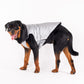 HUFT Luxe Stud Quilted Jacket For Pet -  Mat Silver-3