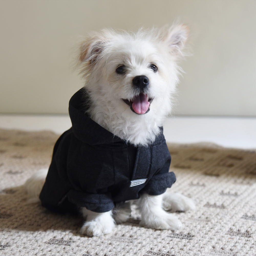 HUFT Sweatshirt For Dogs - Dark Grey-lifestyle