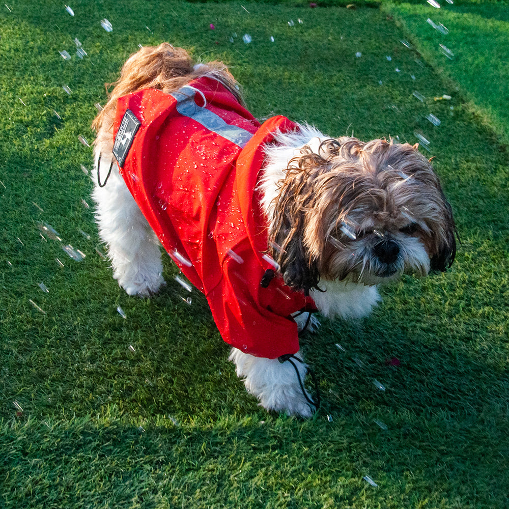 HUFT Drizzle Buddy Dog Raincoat - Red - Heads Up For Tails