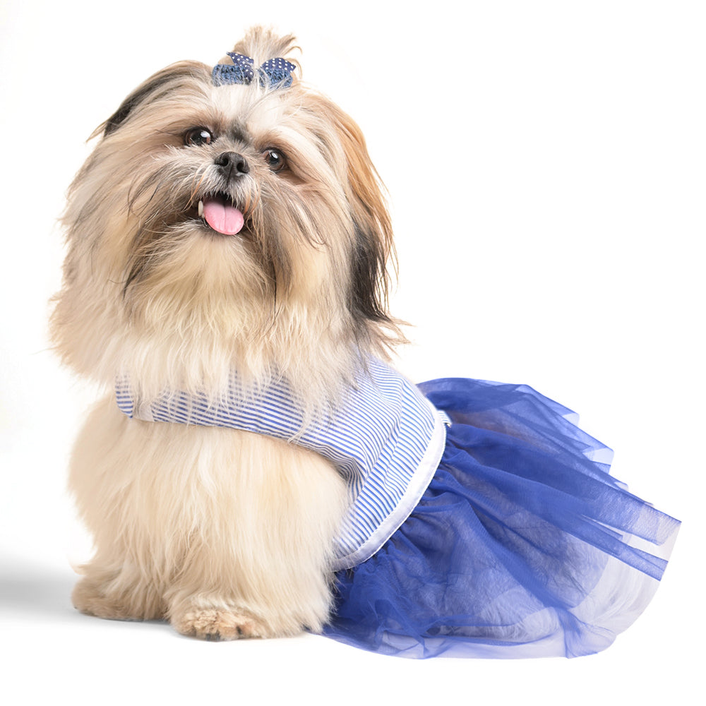 HUFT Personalised Striped Dog Dress - Blue - Only For Small Breeds2