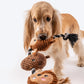 HUFT Chip Squirrel Rope Dog Toy - Brown - Heads Up For Tails