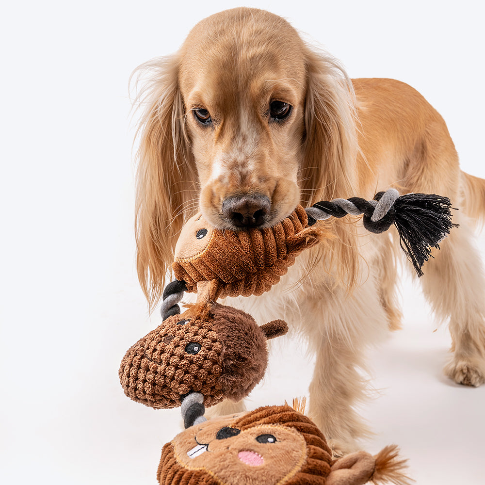 HUFT Chip Squirrel Rope Dog Toy - Brown - Heads Up For Tails